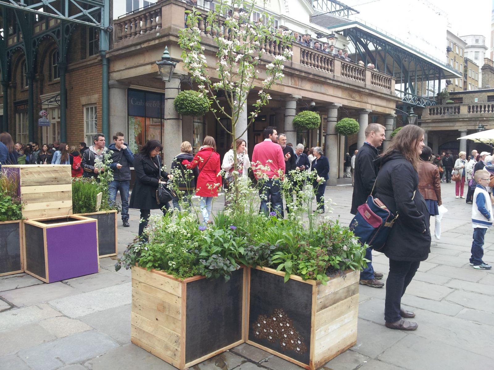 Chelsea Flower Show